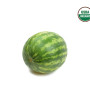 watermelon_mini_3-4lb